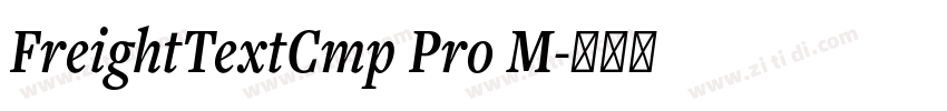 FreightTextCmp Pro M字体转换 FreightTextCmp Pro M字体转换